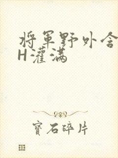 将军野外含公主H灌满