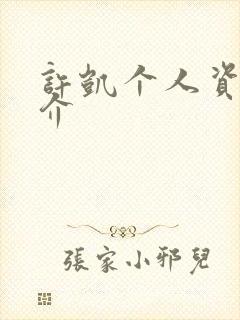 许凯个人资料简介