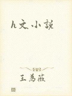 h文小说