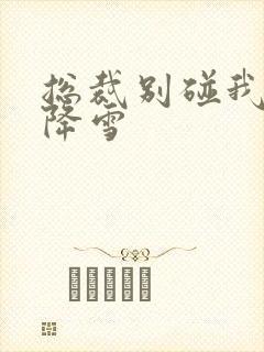 总裁别碰我 韩降雪