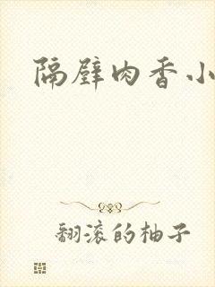 隔壁肉香小说