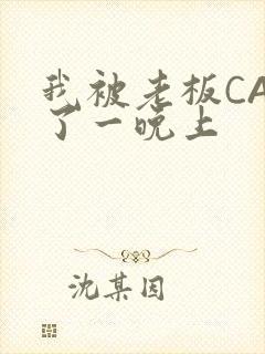 我被老板CAO了一晚上