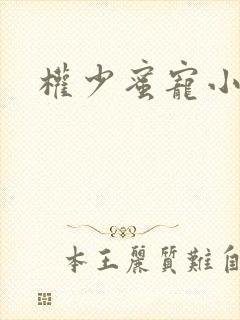 权少蜜宠小娇妻