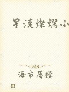 星汉灿烂小说