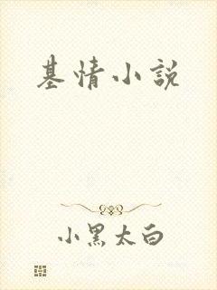 基情小说