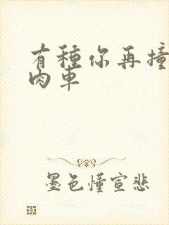 有种你再撞一下肉车