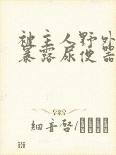 被主人野外调教暴露尿便器