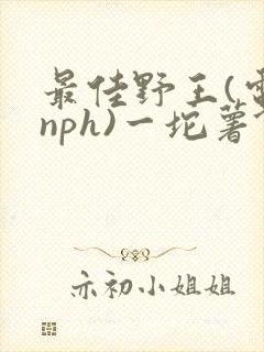 最佳野王(电竞nph)一坨薯饼