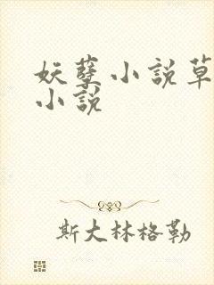 妖孽小说草莓酱小说