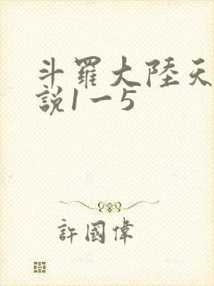斗罗大陆天狂传说1一5