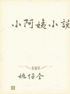 小阿姨小说
