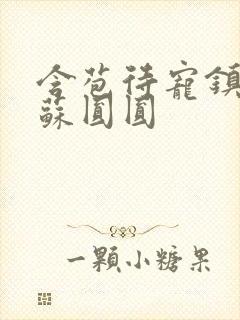 含苞待宠镇国公苏圆圆