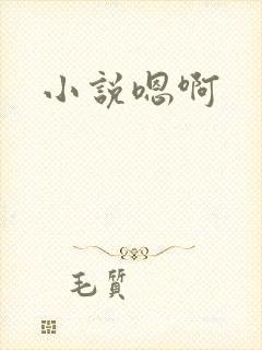 小说嗯啊