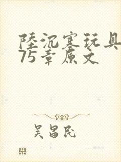 陆沉塞玩具高速75章原文