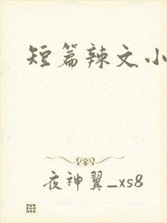 短篇辣文小说