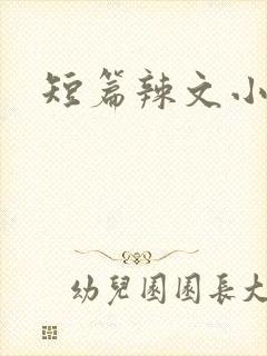 短篇辣文小说