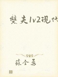 双夫1v2现代