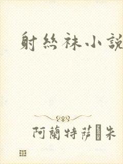 射丝袜小说