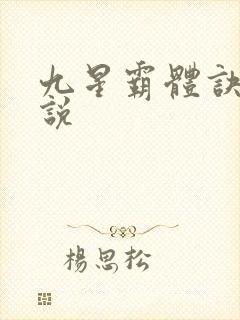 九星霸体诀 小说