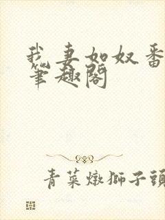 我妻如奴番外篇笔趣阁