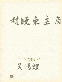 赵晓东主角小说