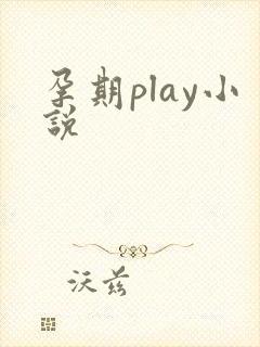 孕期play小说