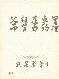 父亲在车里缓慢而有力的撞着