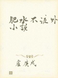 肥水不流外人田小说