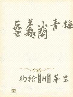 反差小青梅小说笔趣阁