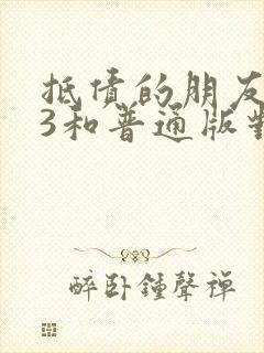 抵债的朋友麦子3和普通版对比