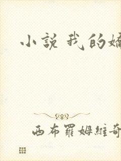 小说 我的娇妻