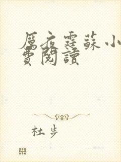 厉夜霆苏小汐免费阅读