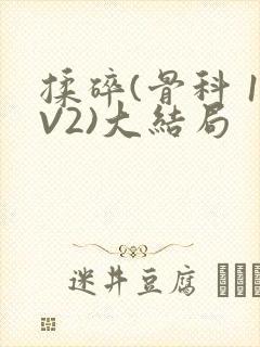 揉碎(骨科 1V2)大结局