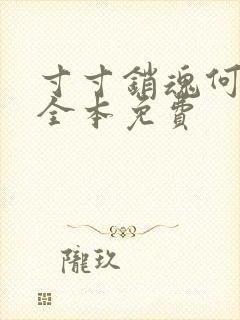 寸寸销魂何生祥全本免费