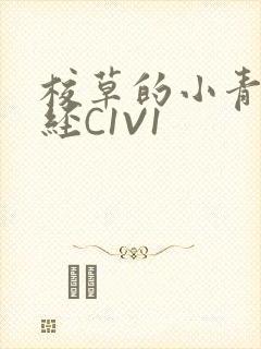 校草的小青梅不经C1V1