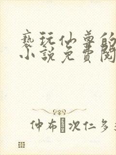 亵玩仙尊的道侣小说免费阅读