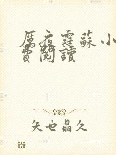 厉夜霆苏小汐免费阅读