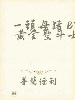 一头母猪 BY 黄金圣斗士