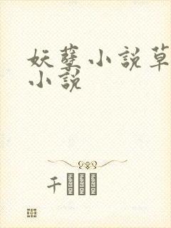 妖孽小说草莓酱小说