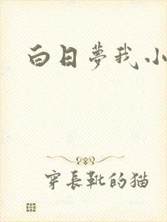 白日梦我小说