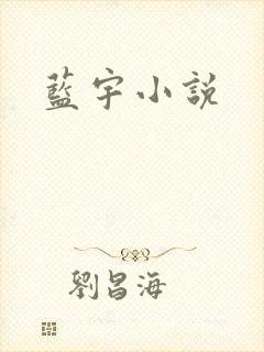 蓝宇小说