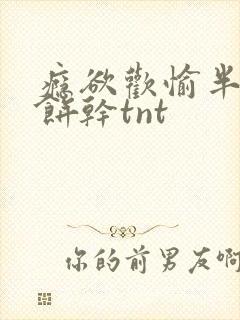 瘾欲欢愉半块小饼干tnt