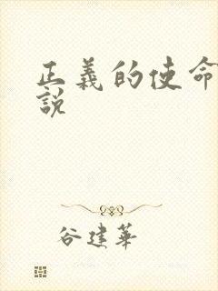 正义的使命 小说