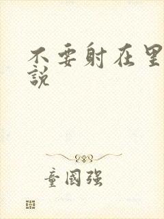 不要射在里面小说