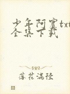 少年阿宾txt全集下载