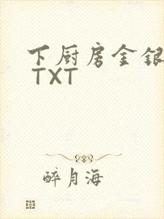 下厨房金银花露 TXT