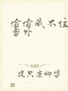 偷偷藏不住新婚番外