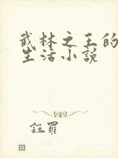 武林之王的退隐生活小说