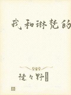 我和琳梵的故事
