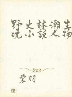 野火林潮生林晚晚小说人物野火